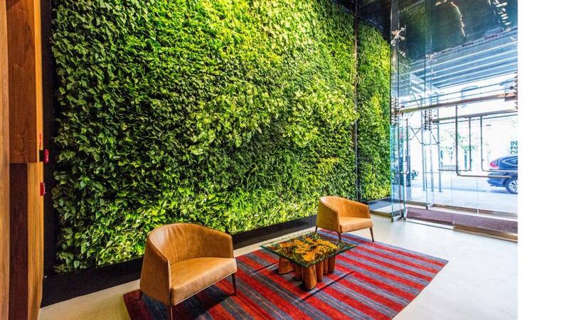 Plant/living walls are also typically installed in atriums. These remove toxins from the air and release oxygen at a higher rate than single indoor plants.