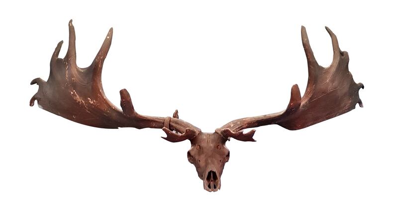 Set of prehistoric deer antlers and skull (Lot 102, €30,000-€50,000)