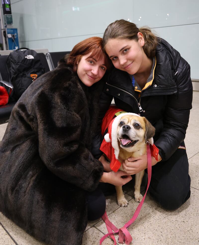 Sisters Nessa (left) and Laoise Molumby were greeted by their parents Ronan and Enda and pet dog Cleo at the airport. Photograph: Bryan O’Brien/The Irish Times

