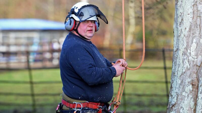 Tree surgeon Stephen Buchanan: “People often put in too many trees which grow large relatively quickly. If a garden is sufficiently small, you are better with large shrubs and fruit trees.” Photograph: Eric Luke / The Irish Times