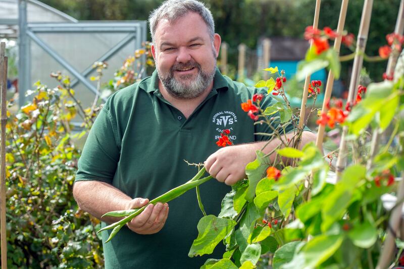 Raymond Higgins is the chair of the Irish branch of the National Vegetable Society and has won numerous prizes for his vegetables here and in the UK. Photograph: Michael MacSweeney/Provision
