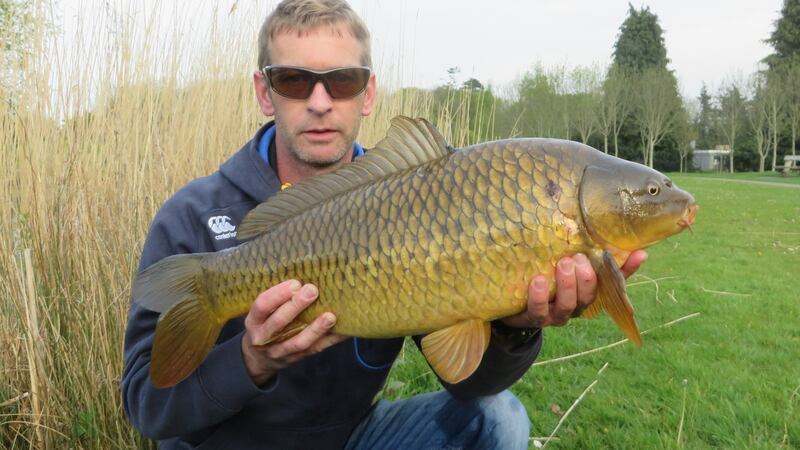Des Chew with specimen carp of 5.9kg from Blanchardstown Lake