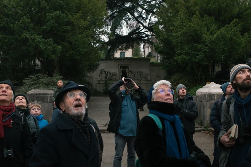 A bird-watching tour at the Père-Lachaise cemetery. Photograph: Dmitry Kostyukov/The New York Times