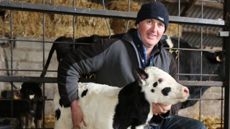 Pat McCormack on his farm in Kilfeacle, Co Tipperary. Photograph: Liam Burke/Press 22