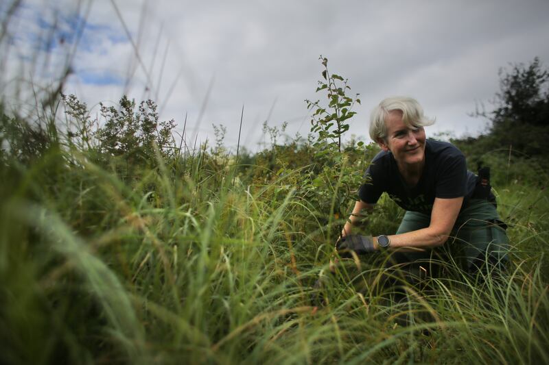 Catherine Cleary at work on her 40-acre farm in Co Roscommon. Photograph: Bryan O’Brien
