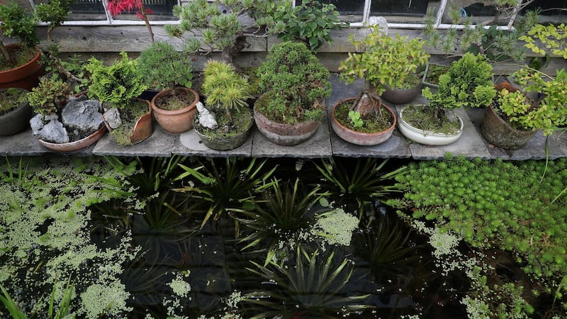 Mount Venus Nursery, Tibradden. Photograph: Nick Bradshaw