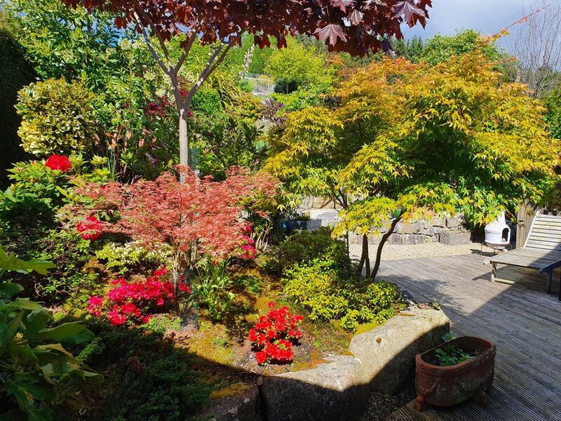 The property has well stocked gardens
