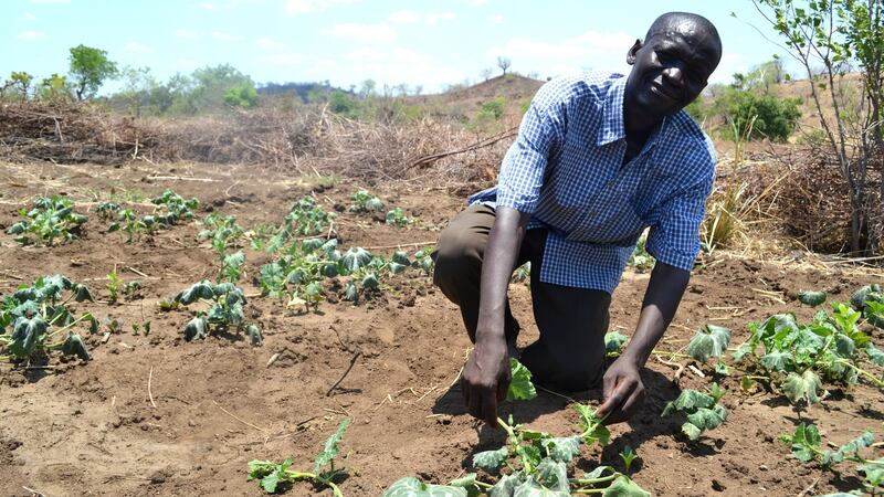 Sydreck Kanyakwira: ‘We did not take care of nature. We carelessly cut down the trees for wood.’