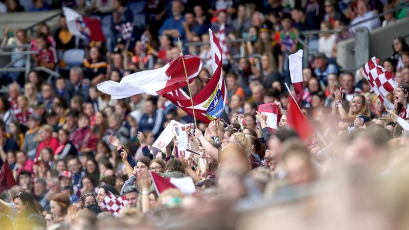 Galway fans celebrate. Photo: Bryan Keane/Inpho