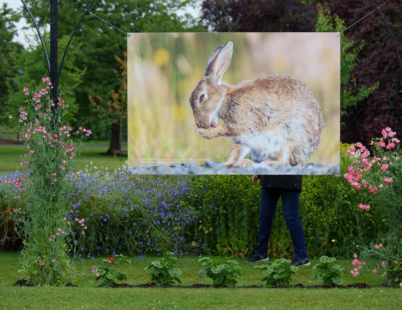 Little introduction is needed for the Botanic Gardens, Glasnevin. Photograph: Fran Veale