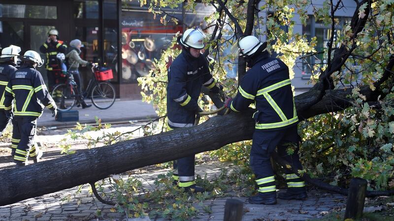 Firefighters work on a tree that fell during stormy weather in Hamburg. Photograph: Fabian Bimmer/Reuters