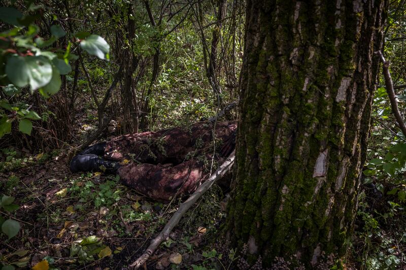 -- EMBARGO: NO ELECTRONIC DISTRIBUTION, WEB POSTING OR STREET SALES BEFORE 12:01 A.M. ET ON FRIDAY, OCT. 7, 2022. NO EXCEPTIONS FOR ANY REASONS -- The body of a Russian soldier in the woods near the village of Pisky-Radkivski, Ukraine, Oct. 3, 2022. Ukrainian soldiers are exulting in their smashing of Russian lines in the northeast, where they engaged enemy troops up close, and gained confidence from it. (Ivor Prickett/The New York Times)