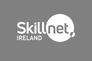 Skillnet Ireland